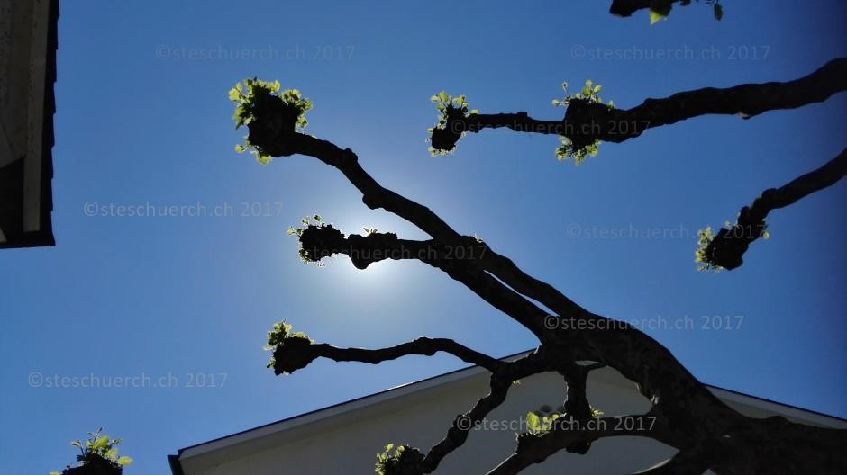 galeriebild1