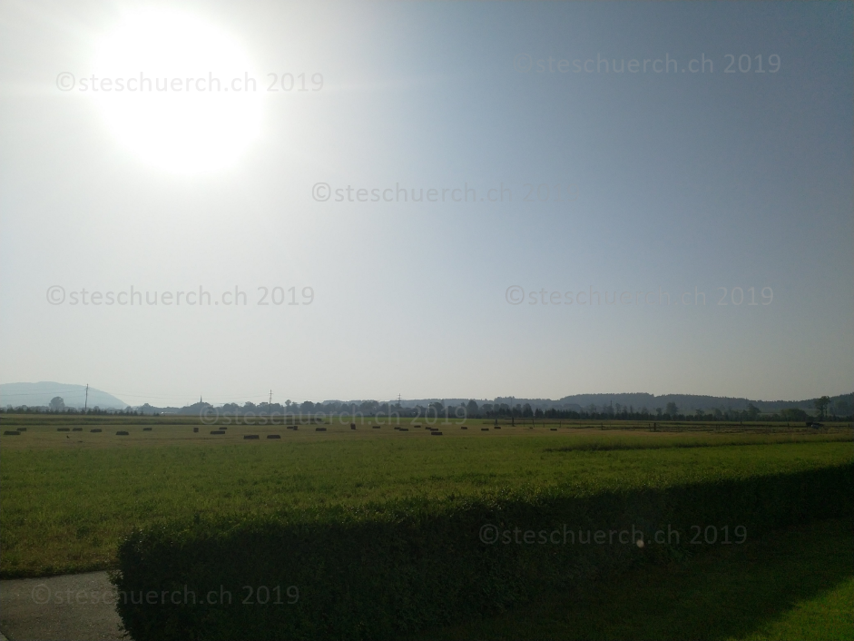 Verwaschene Sonne im wolkenlosen Himmel und grünes Feld mit Heuballen