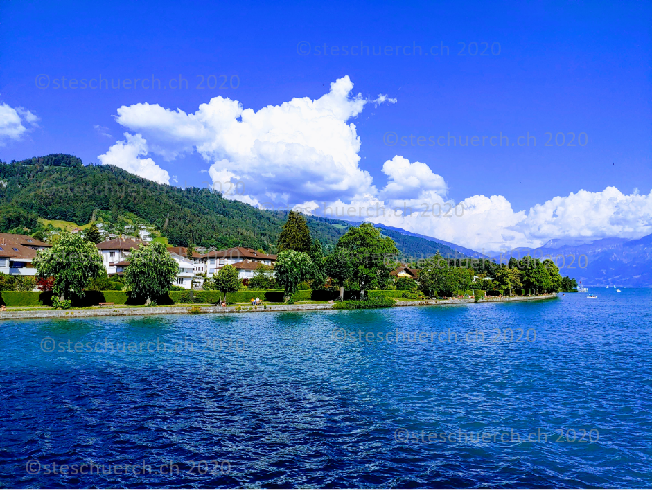 Lake Thun with houses on the opposite bank, a hill and a view of mountains