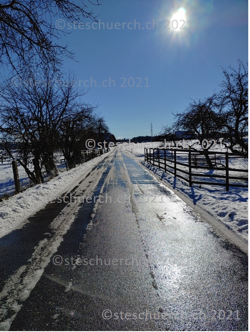 Schneelandschaft: Auf der Strasse scheint die Sonne auf die Strasse welche noch mit Schmelzwasser behaftet ist.