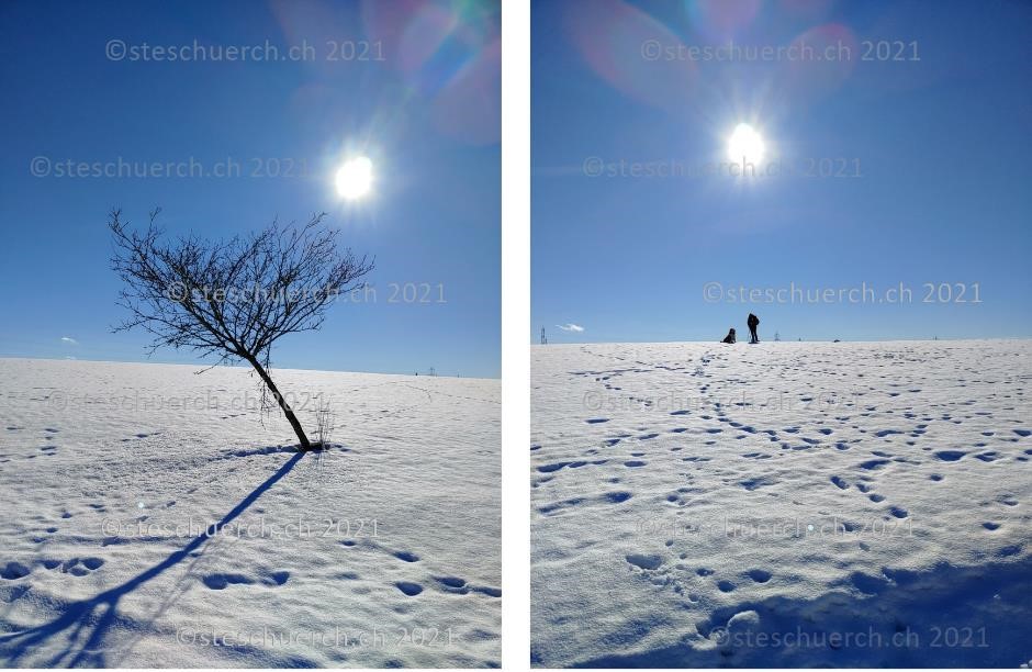 Winterlandschaft auf einer Anhöhe an einem sonnigen Tag.