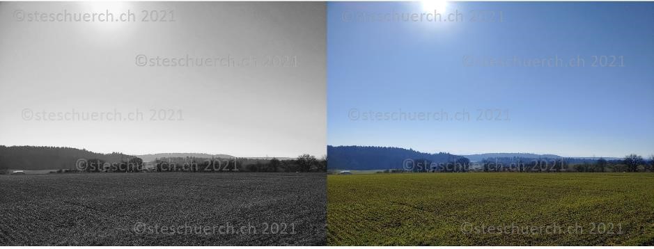 Grün gefärbtes Feld mit dahinter befindeten bläulich gefärbten Wäldern.