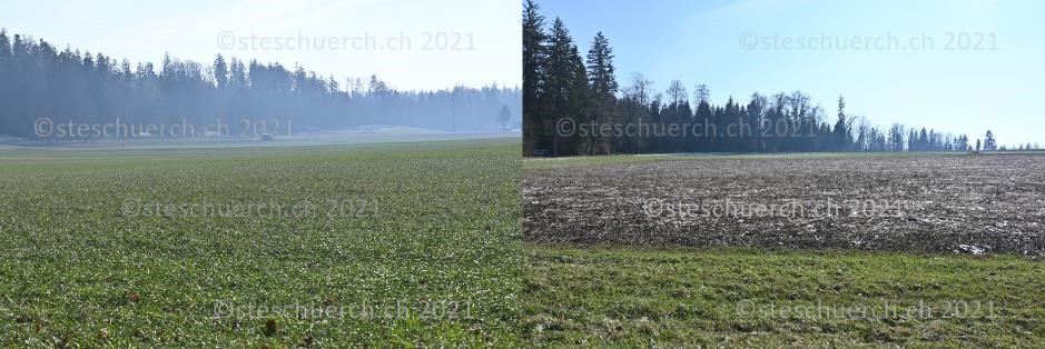 Grünes Feld davor mit Wäldern im Hintergrund.
