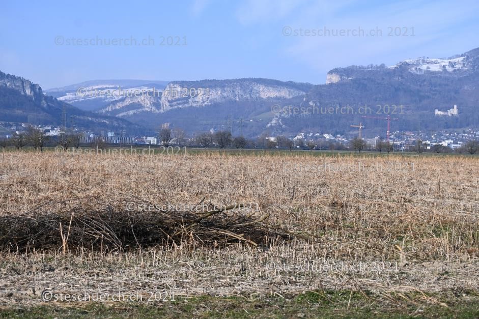 Sicht ins Gäu-Thal in welcher sich davor ein Stoppelfeld mit liegendem Holz befindet.