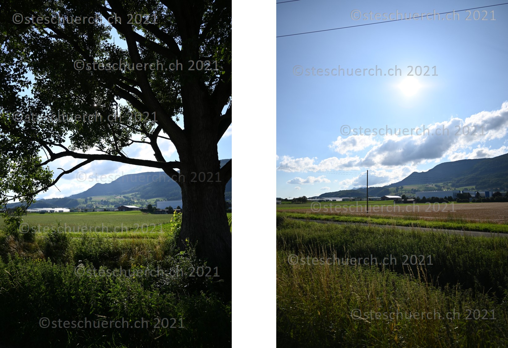 Aussicht auf das Bergbiet von Niederbipp.