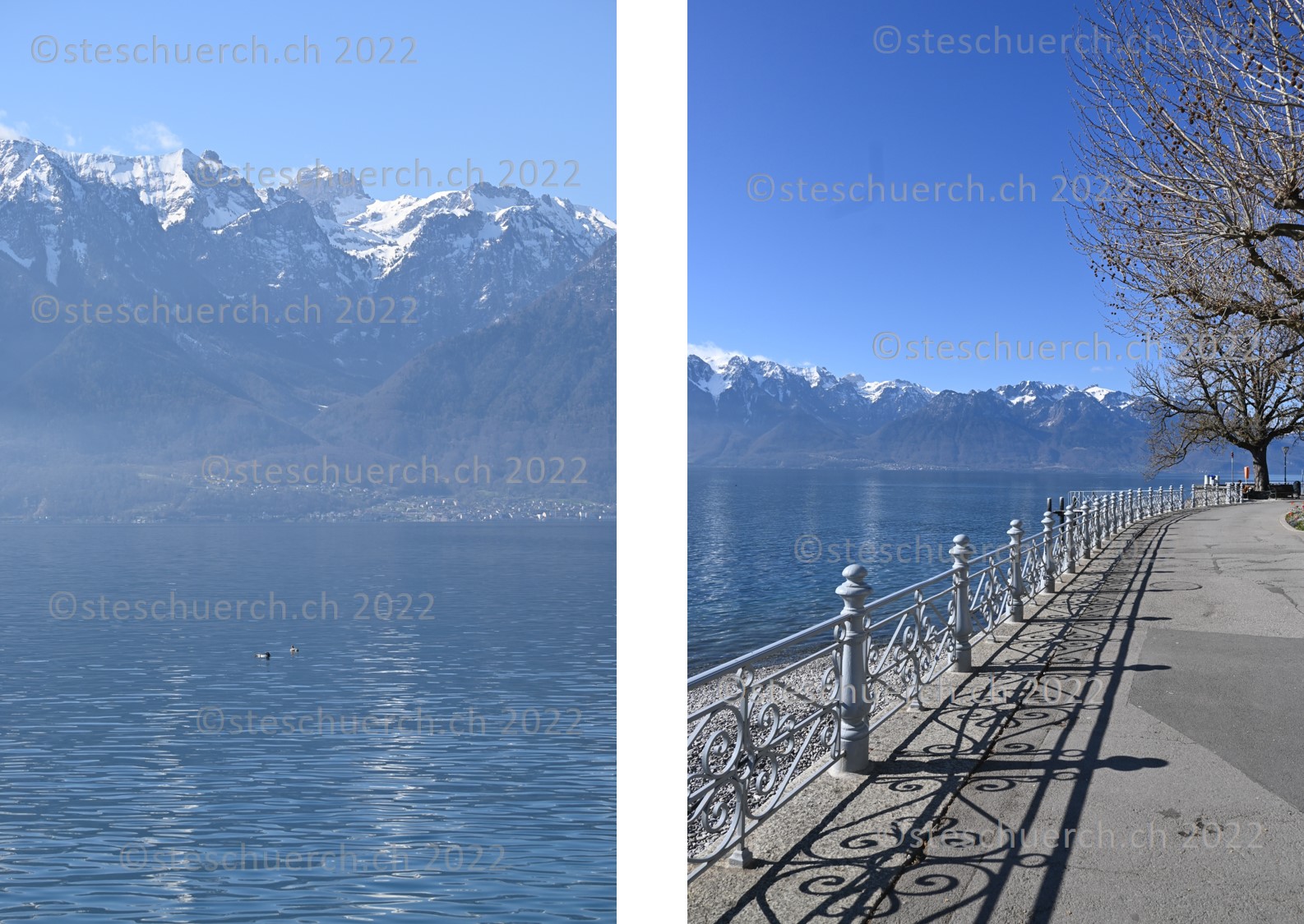 Aussicht von der Seepromenade aus.