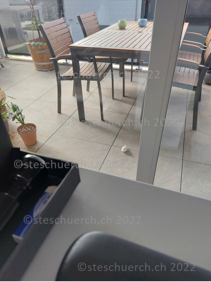 Weiss gefederter Vogel auf dem Balkon Ausschnitt 1.