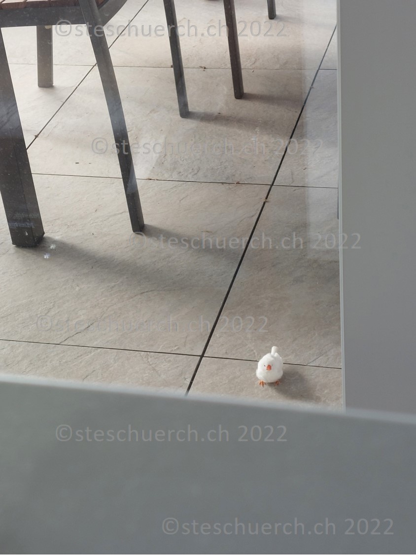 Weiss gefederter Vogel auf dem Balkon Ausschnitt 2.