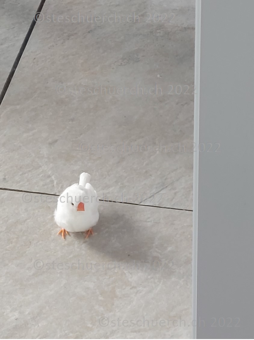 Weiss gefederter Vogel auf dem Balkon Ausschnitt 4.